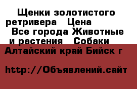 Щенки золотистого ретривера › Цена ­ 15 000 - Все города Животные и растения » Собаки   . Алтайский край,Бийск г.